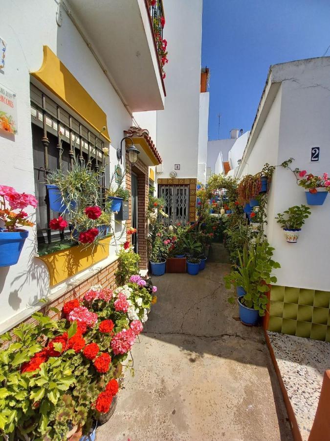Brand New - Casa El Cuartel With Private Seaview Rooftop Conil De La Frontera Luaran gambar